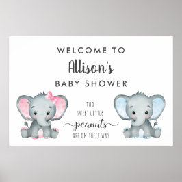 Välkommen till Twin Boy Elephant Baby Shower Poster