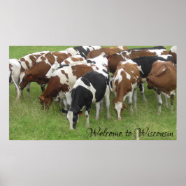 Välkommen till Wisconsin Dairy Cows Photo Poster