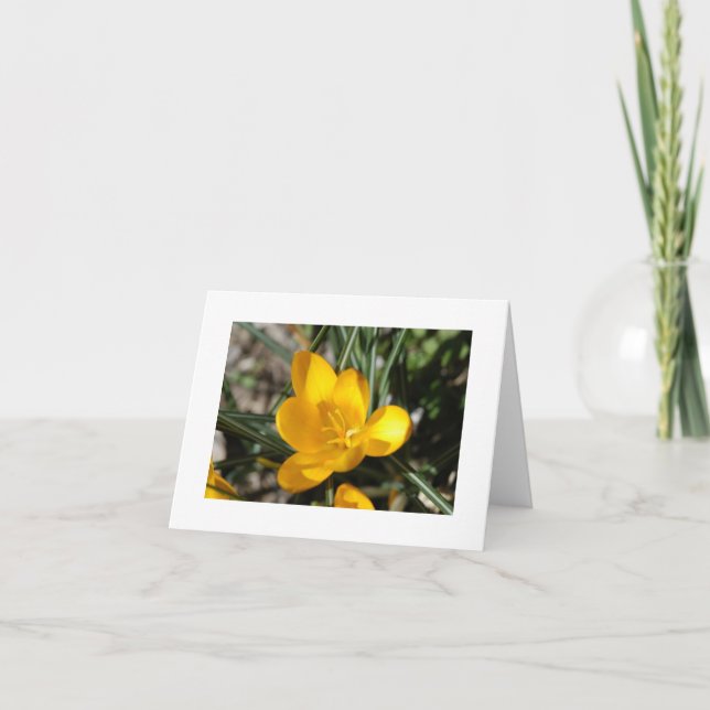 Välkommen Vår Kort (Framsida)