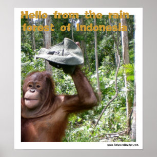 Välkomna för Orangutan regnskog Poster