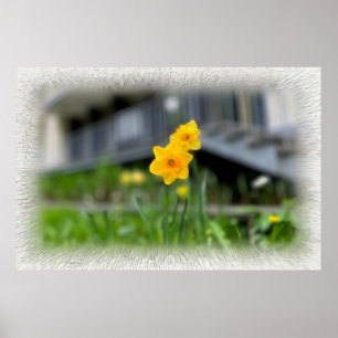 Välkomna gula blommor poster