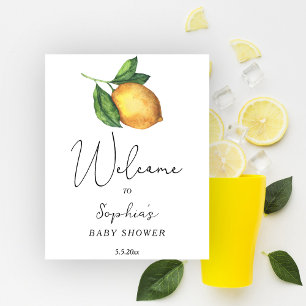 Välkomna till babyduschen på citrusfrukter poster
