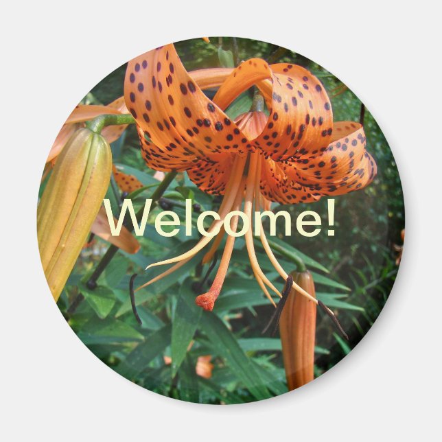 Välkomna till grannlandsövningen Turks Cap Lily Magnet (Framsidan)