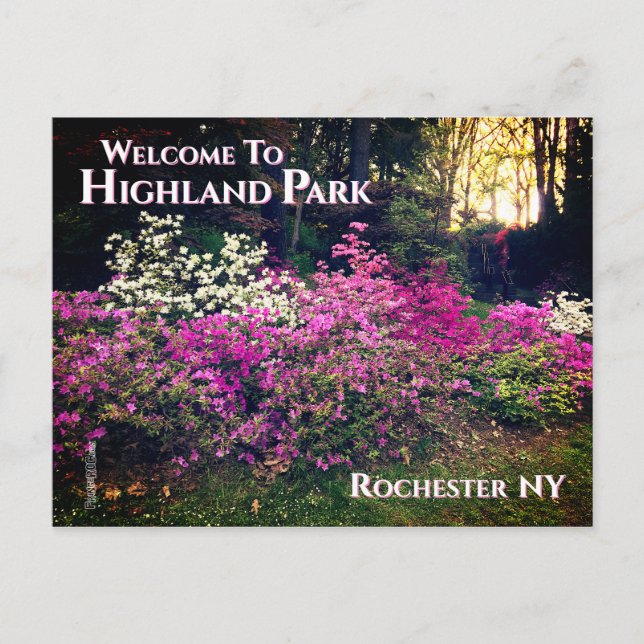 Välkomna till Highland Park Rochester NY Vykort (Framsida)
