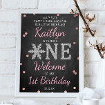 Välkomna till Snowflake Winter Chalkboard 1:a föde Poster<br><div class="desc">Fira i stil med trendiget välkomstskylt för första födelsedag. Utformningen är enkel att anpassa med din egen formulering och din familj och dina vänner kommer att bli glada när de ser detta fantastiska tecken på party. Matchande objekt i party finns i samlingen.</div>