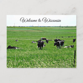 Välkomna till Wisconsin Cows i Fält vykort