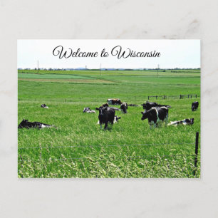 Välkomna till Wisconsin Cows i Fält vykort