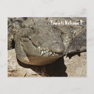 Välkomna turister! - Krokodil - Vykort