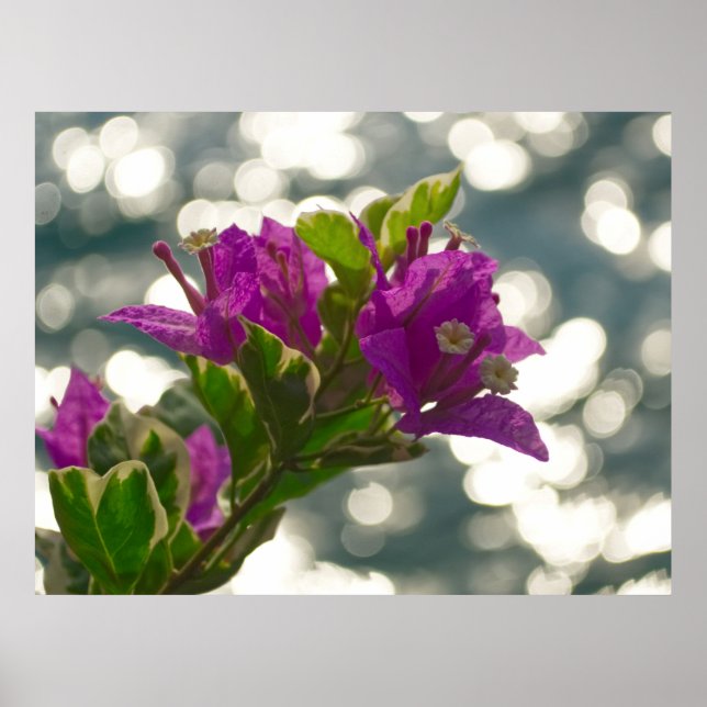 Välkomnande vårblommor Bokeh Poster (Framsidan)