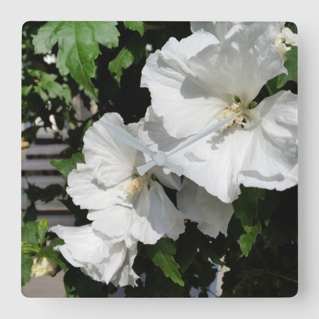 välkomnande vita blommor fyrkantig klocka (Framsida)