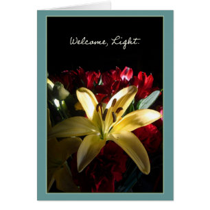Välkomnandet tänder/Bienvenida, luz Hälsningskort
