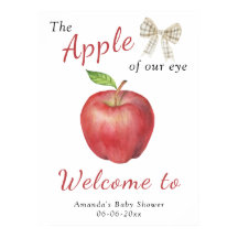 Välkomstbabydusch party