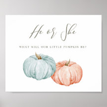Välkomstdekret för Modern Pumpkin Gender Reveal Po
