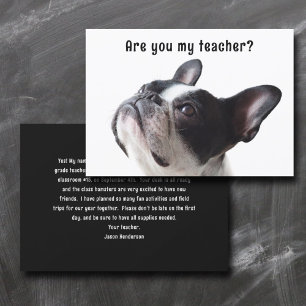 Välkomstkort för back to school Boston Terrier Inbjudningar