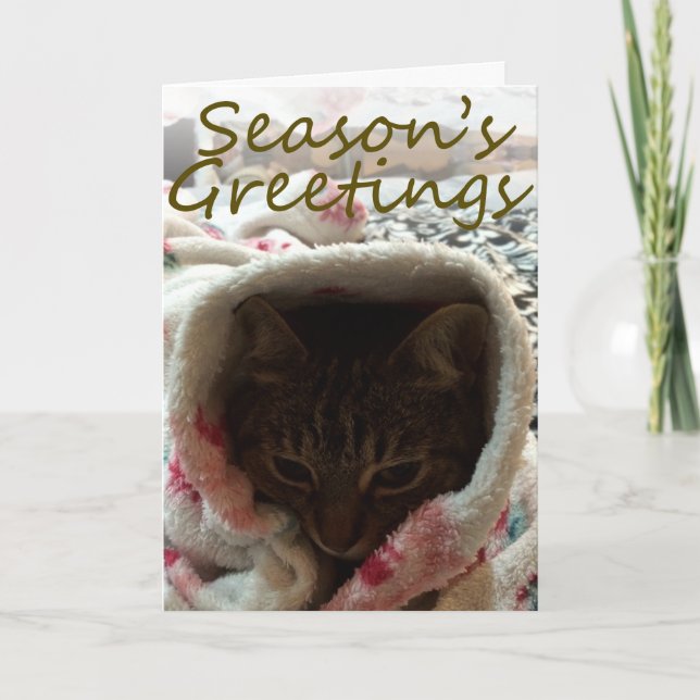 Välkomstkort för diskdagar helgkort (Framsida)