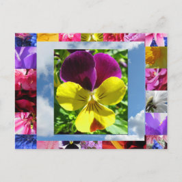 Välkomstkort för lyckodlare vykort