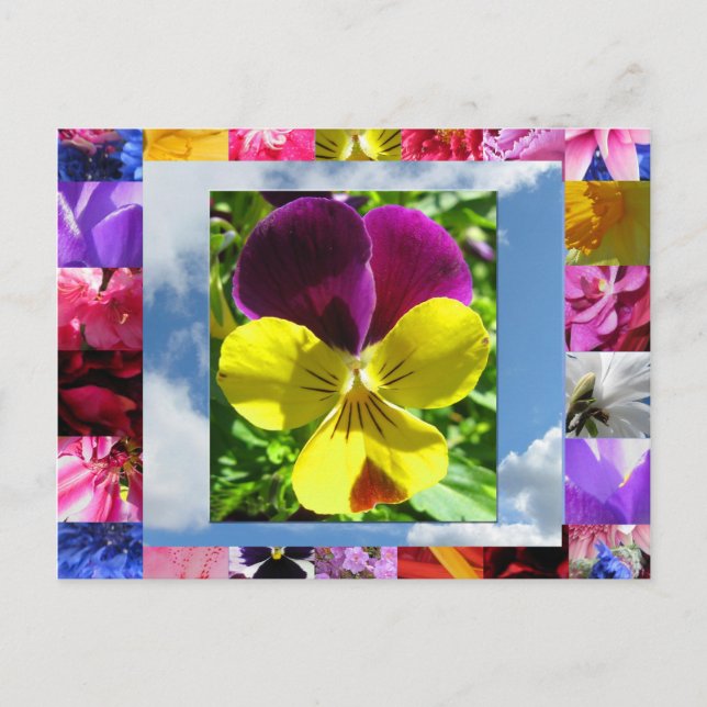 Välkomstkort för lyckodlare vykort (Framsida)