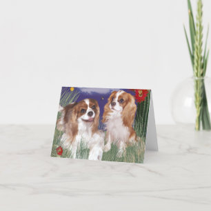 Välkomstkort, King Charles Cavalier Spaniel-kort Kort