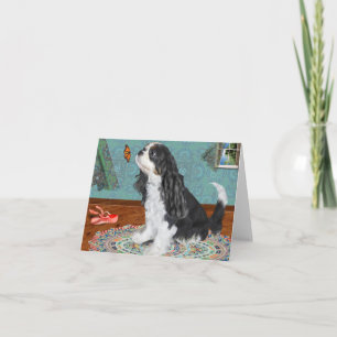 Välkomstkort, King Charles Cavalier Spaniel, Tri Kort