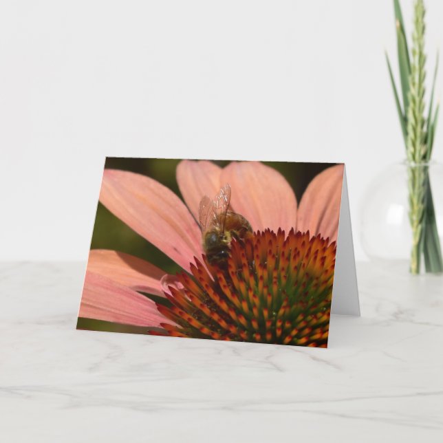 Välkomstkort med honungsbi på blomsterkotte kort (Framsida)