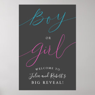 Välkomstskylt för Boy eller Girl Gender Reveal Par Poster