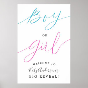 Välkomstskylt för Boy eller Girl Gender Reveal Par Poster