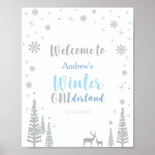 Välkomstskylt för Silver Winter Pojke Födelsedagsf Poster