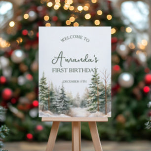 Välkomstskylt för Winter Onederland Birthday Poster
