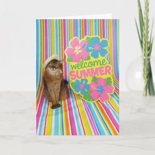 Välkomstsommar med sommar i somaliska katten kort (Framsida)
