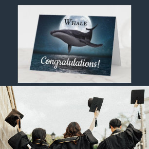 valkongruenser examen kort