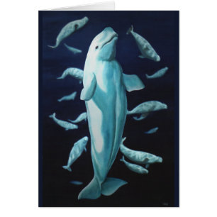 Valkort Personlig Beluga Whale Art Cards Hälsningskort