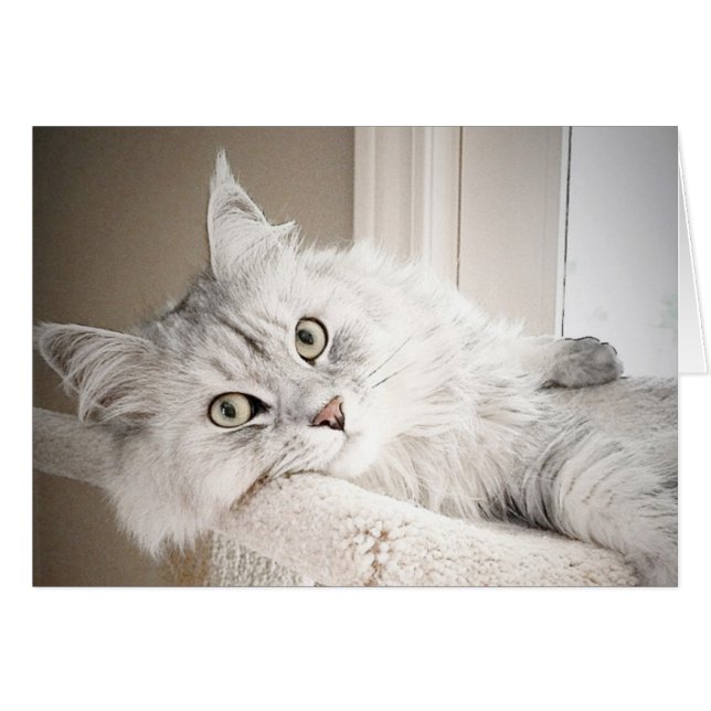 Välla fram, JAMA kortet Hälsningskort (Framsidan Horizontal)