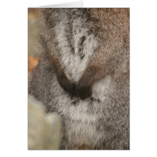 Vallaby Hälsningskort