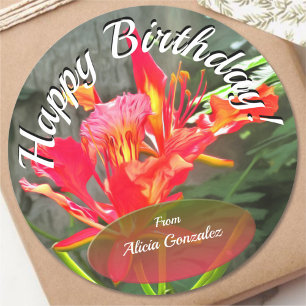 Vallarta Birthday Beauty 1583 Runt Klistermärke
