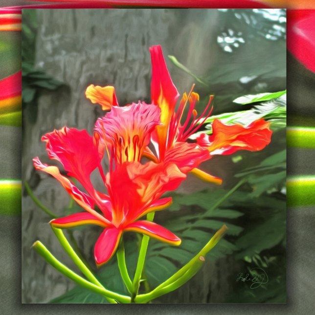 Vallarta Flaming Beauty 1583 Art Print Poster (Skapare uppladdad)