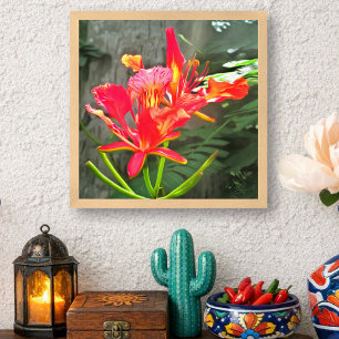 Vallarta Flaming Beauty Tropical Floral 1583 Art Poster