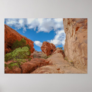 Vallbåge, Arches National Park, Utah Poster