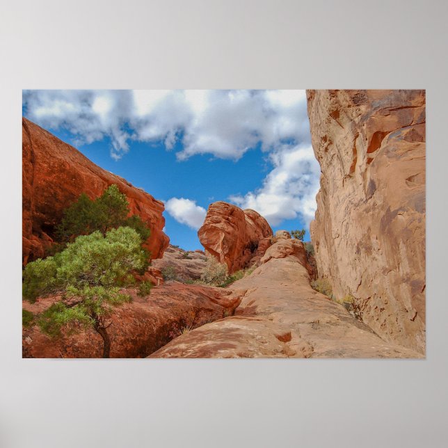 Vallbåge, Arches National Park, Utah Poster (Framsidan)