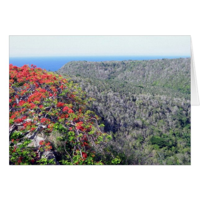 valley bacunayagua hälsningskort (Framsidan Horizontal)