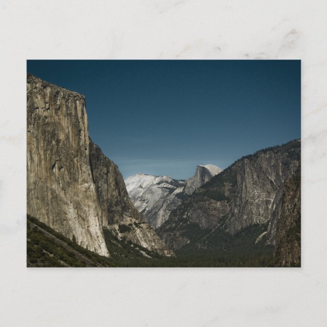 Valley Guardians Postcard Vykort (Framsida)