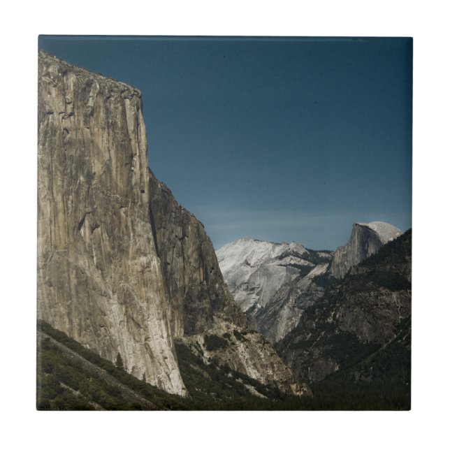 Valley Guardians Tile Kakelplatta (Framsidan)