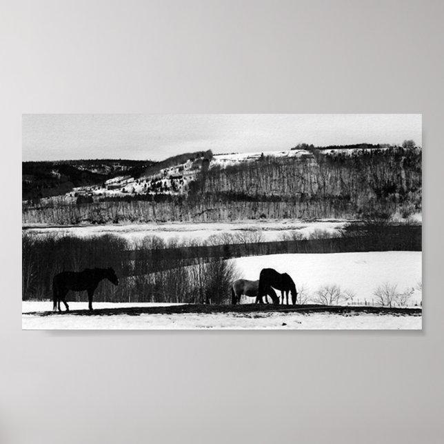 Valley Horses Poster (Framsidan)