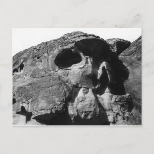 Valley of Fire Skull Sten Vykort