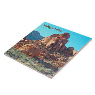 Valley of Fire State Park Kakelplatta