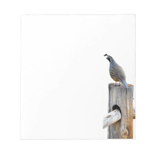 Valley Quail Photo Note Pad Stationery Anteckningsblock
