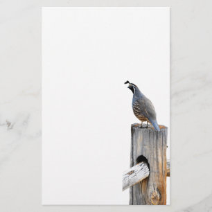 Valley Quail Photo Stationery Papper