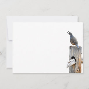 Valley Quail Photo Stationery - plattanteckningsko Anteckningskort