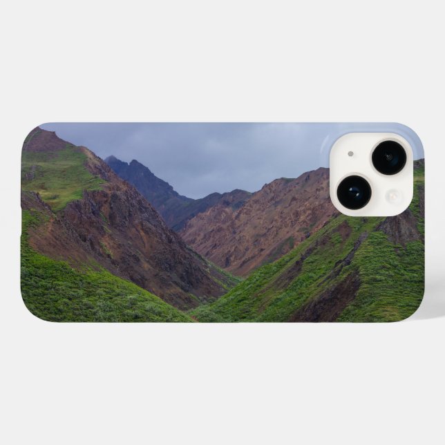 Valley vid Denalis Toklat River (Baksida (horisontell))