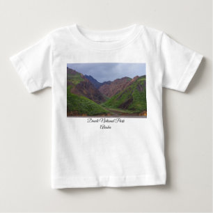 Valley vid Denalis Toklat River T Shirt