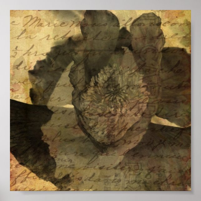 Vallmo 3 poster (Framsidan)